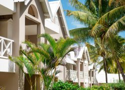 Tropical Attitude
